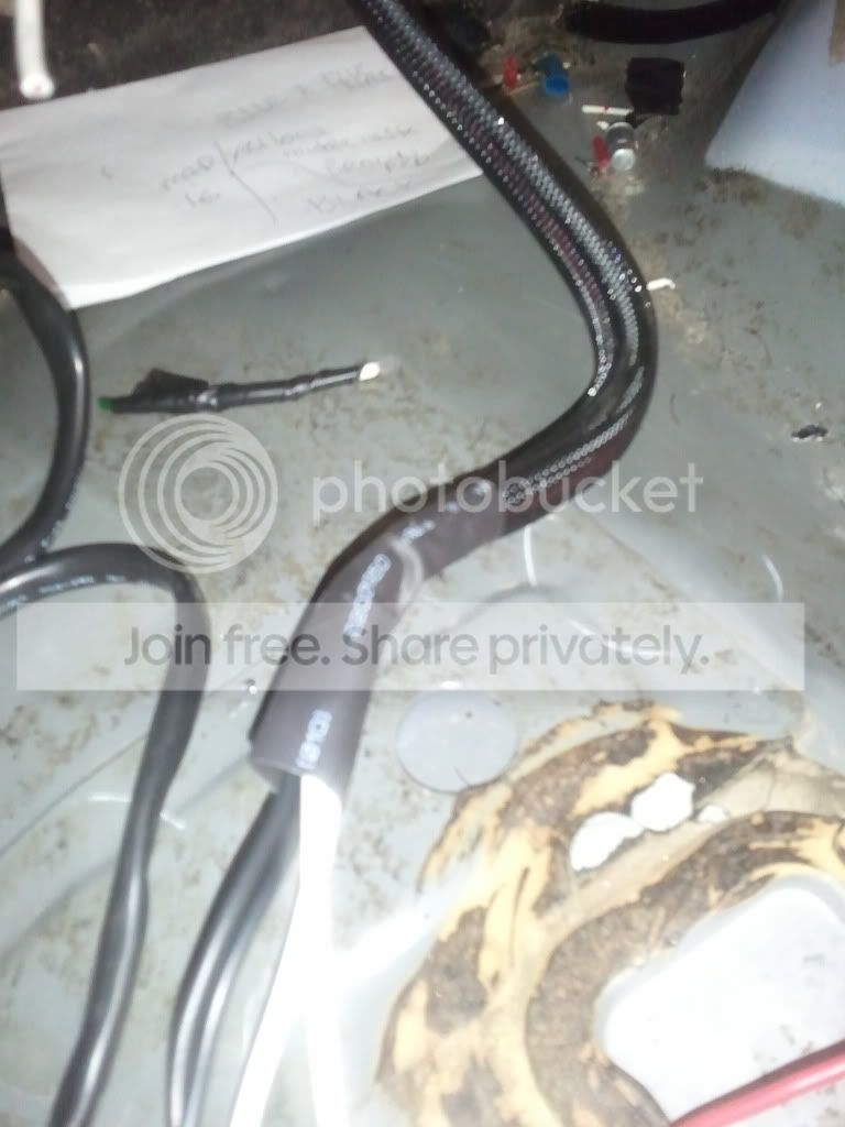 2011-05-07190540.jpg