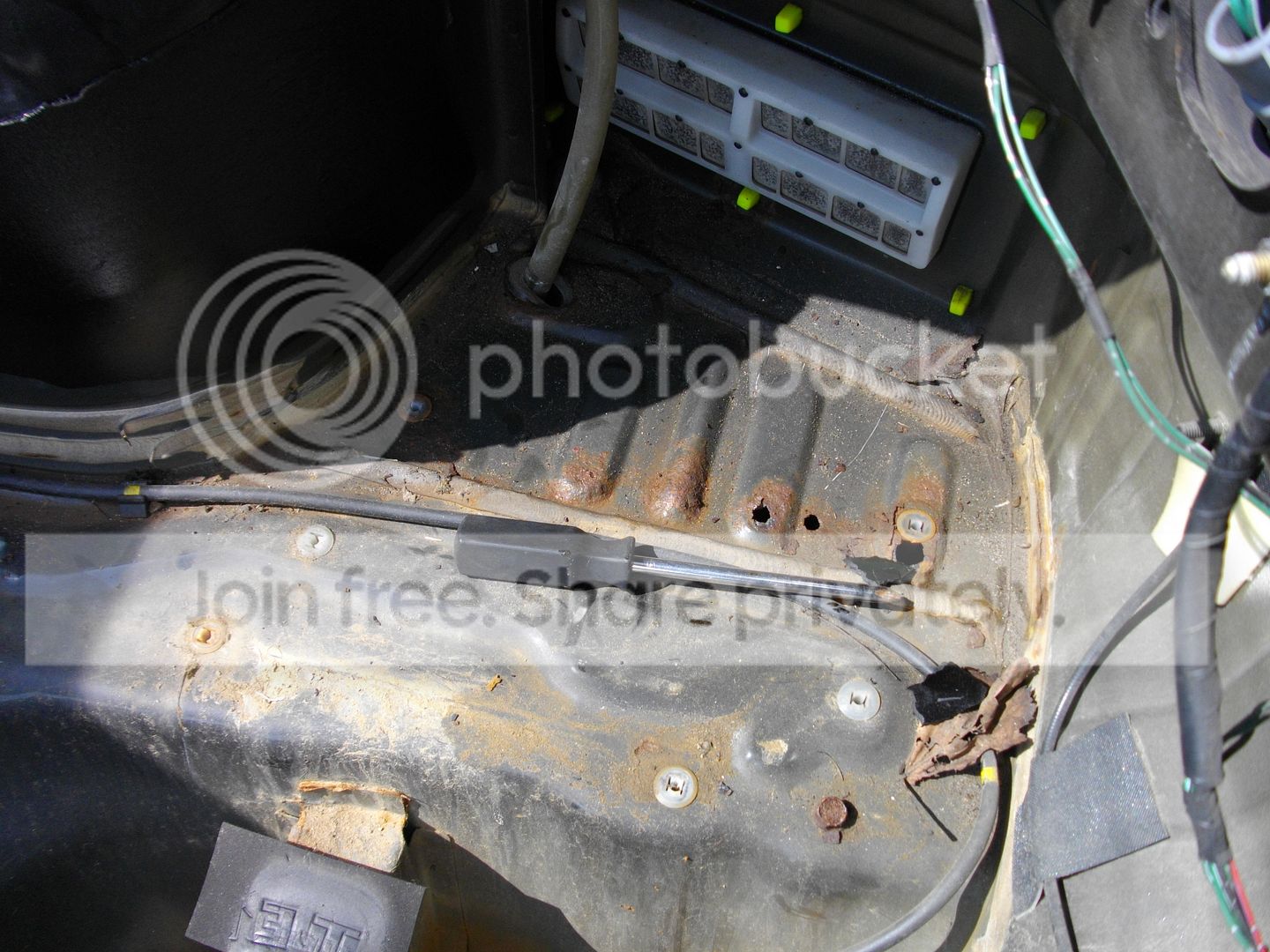 IMGP1047.jpg