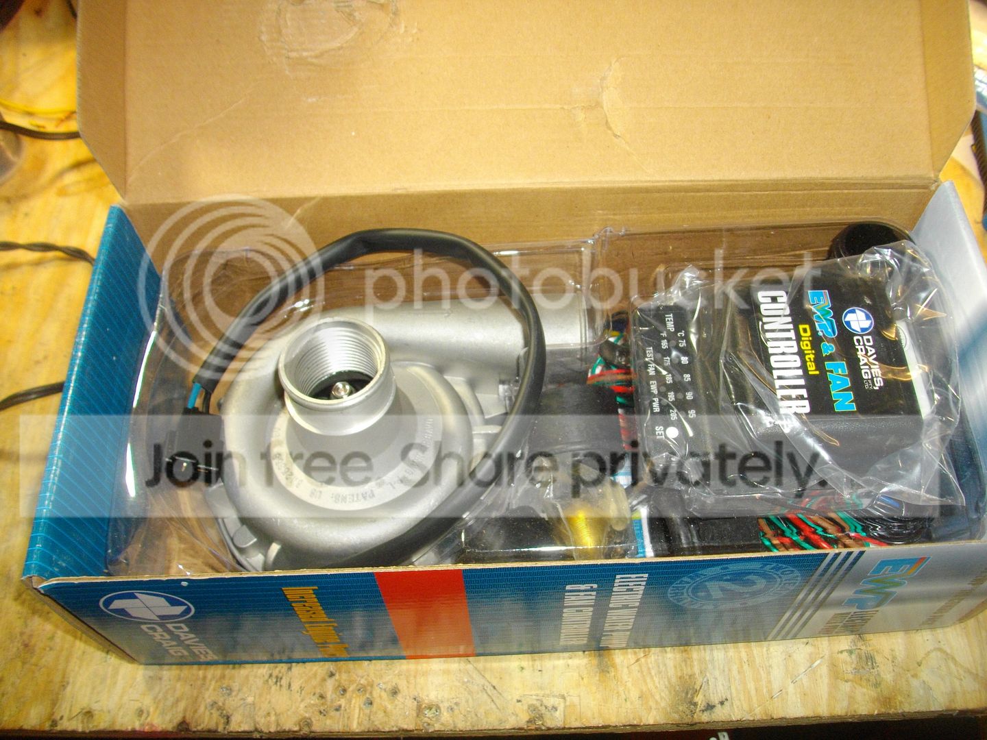 IMGP2658.jpg