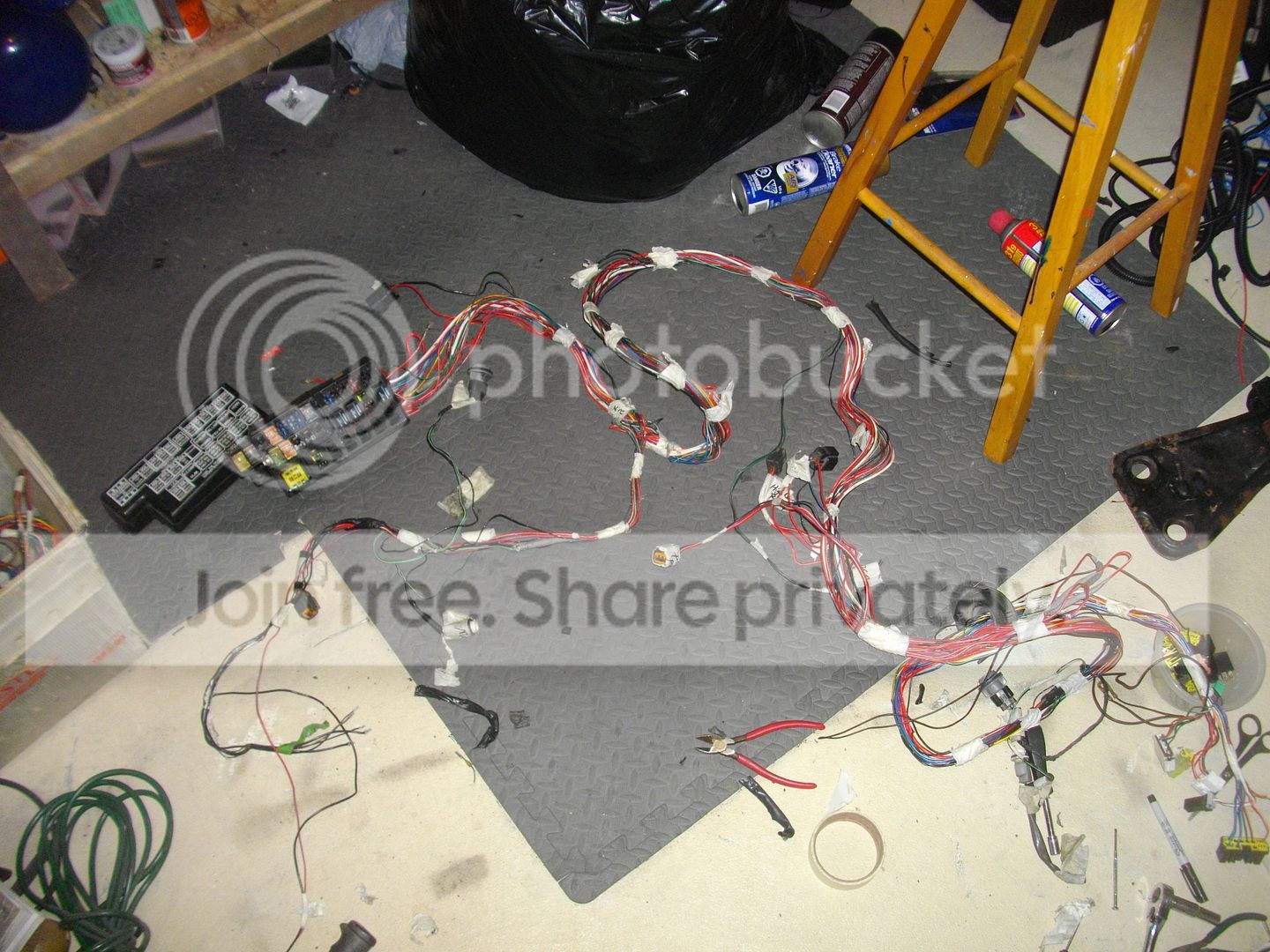 IMGP2607.jpg