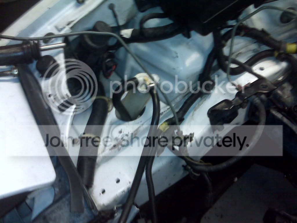 IMG00351-20100620-1119.jpg