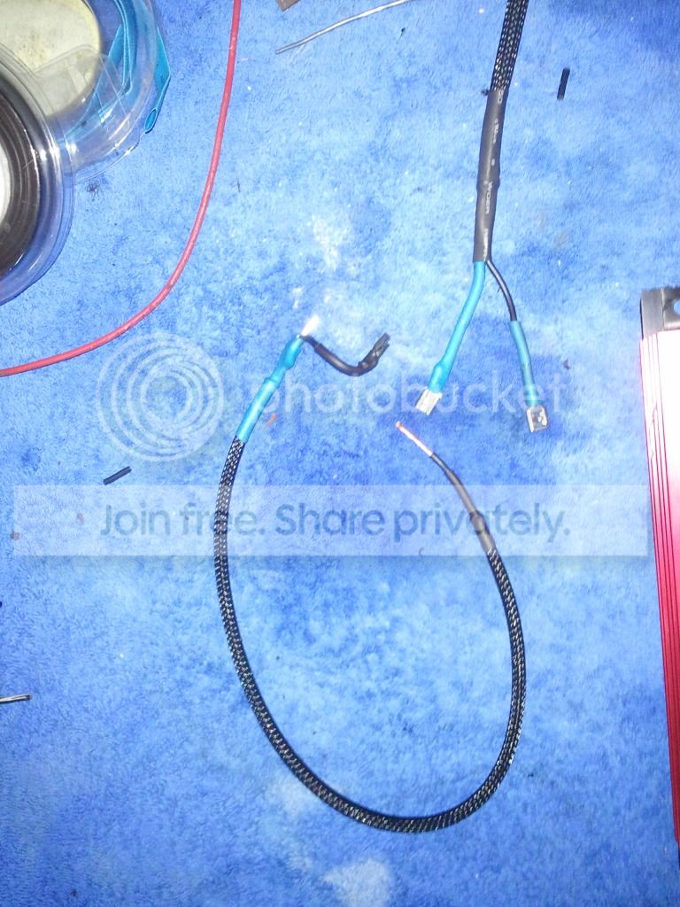 2012-01-15145223.jpg