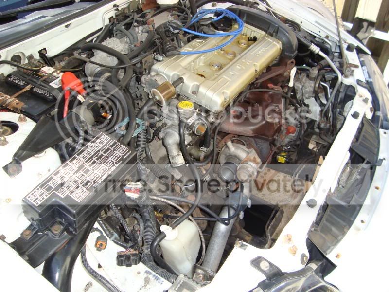 DSC05151.jpg