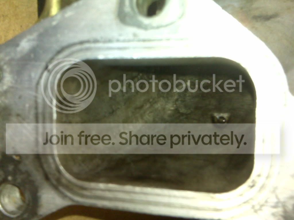 IMG00227-20100525-1525.jpg
