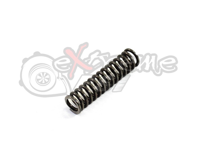 www.extremepsi.com