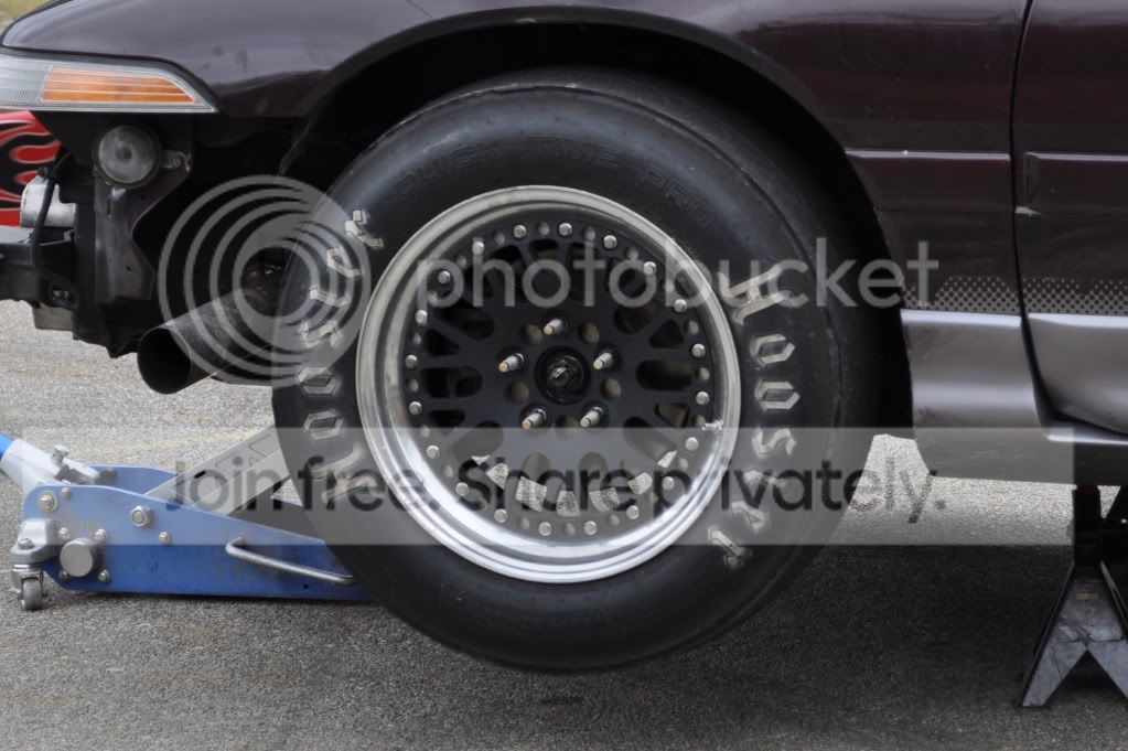 CSC_0049.jpg