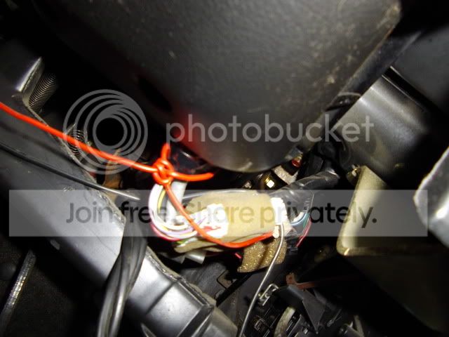 IMGP0410.jpg