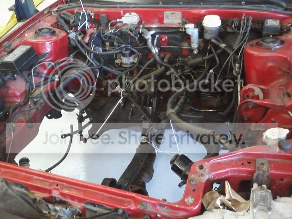 Image10082010133045.jpg