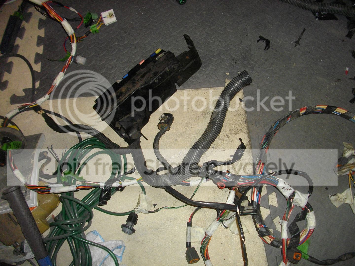 IMGP2551.jpg