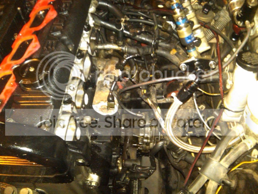 IMG00407-20110817-0040.jpg