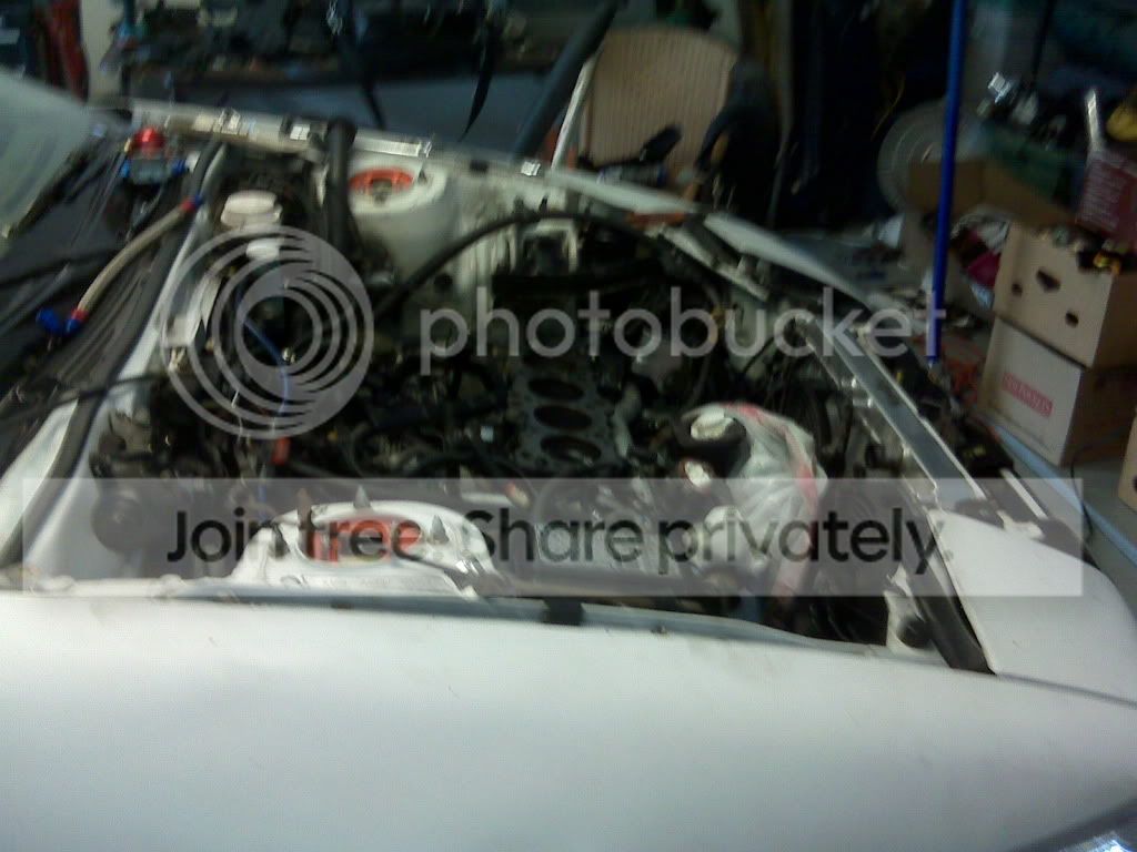 IMG00231-20100525-1556.jpg
