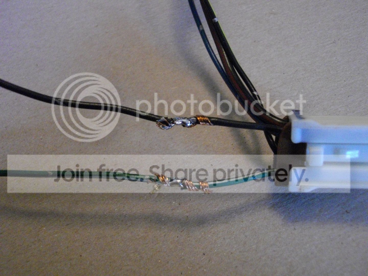 IMGP1223.jpg