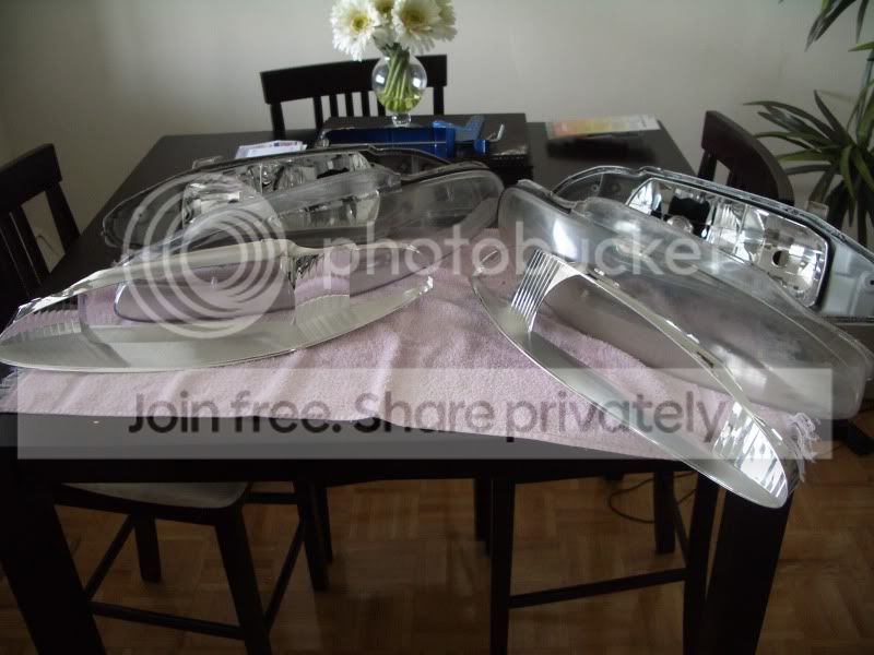 IMGP5117.jpg