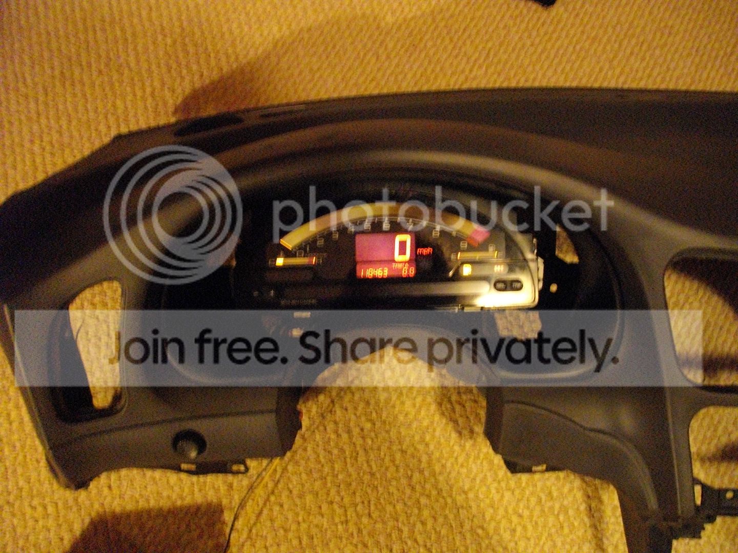 IMGP1104.jpg