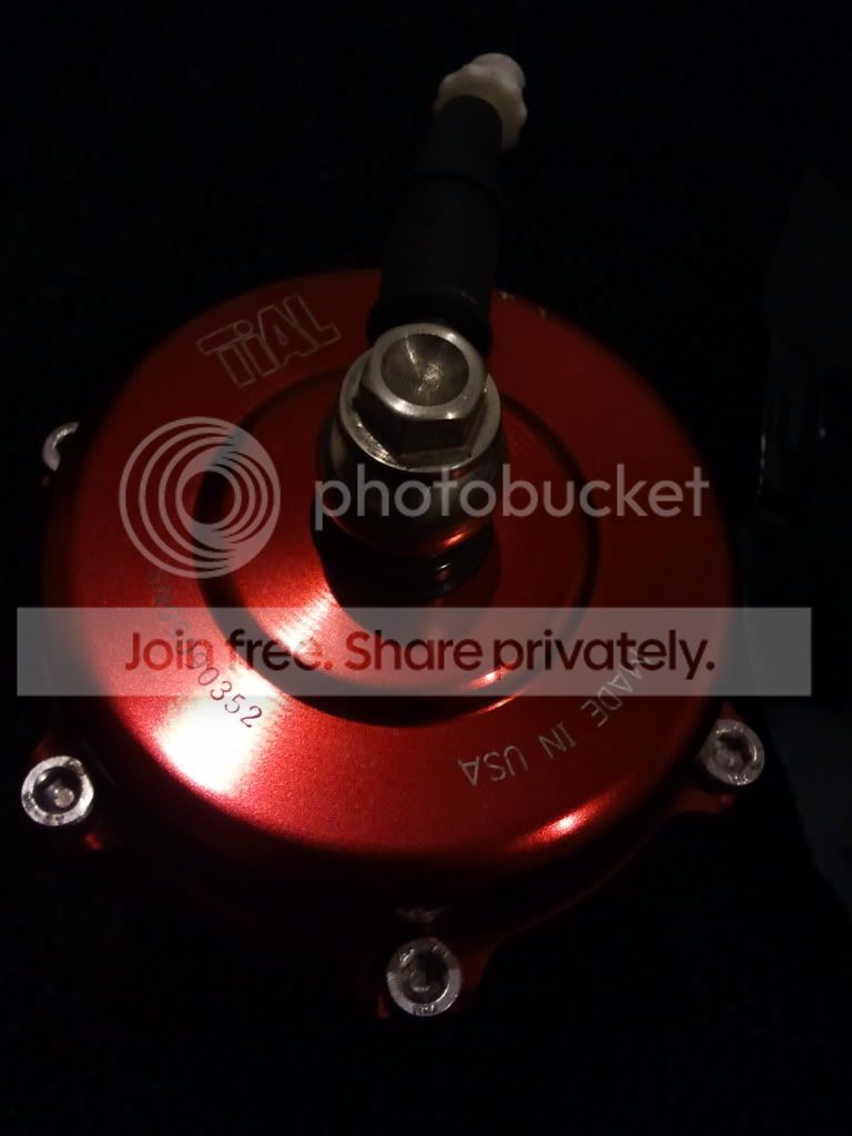 2011-05-19230440.jpg