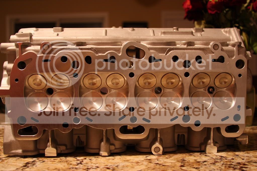 DPP_0016.jpg
