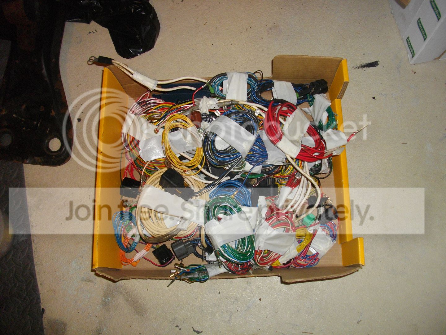 IMGP2609.jpg
