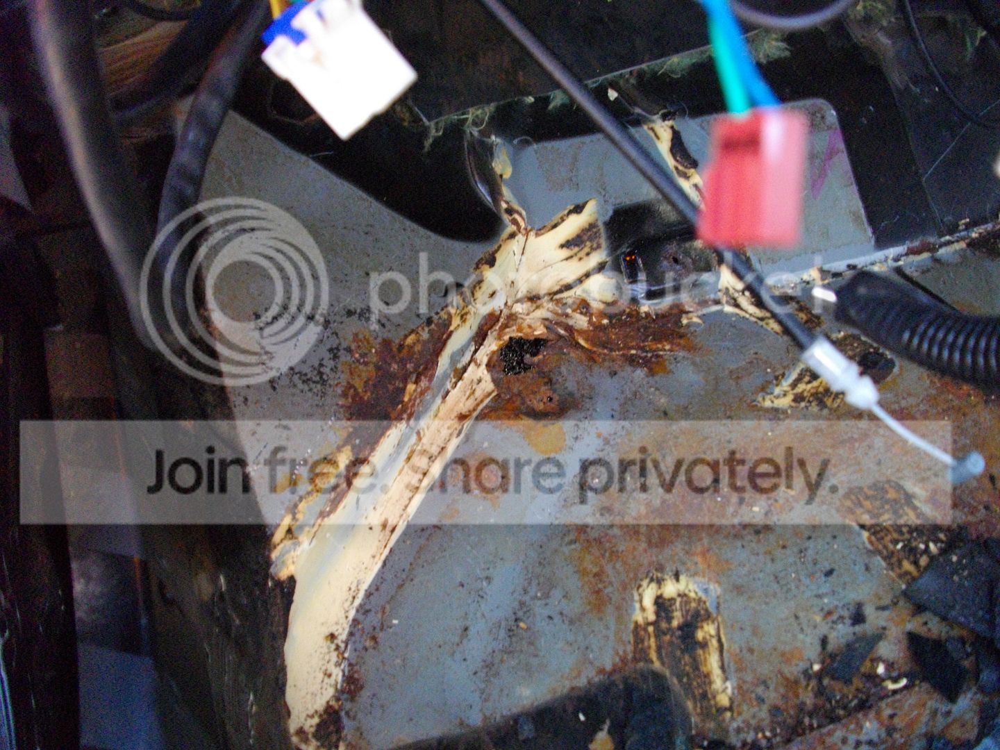 IMGP1256.jpg
