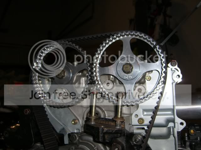 CIMG0050-1.jpg