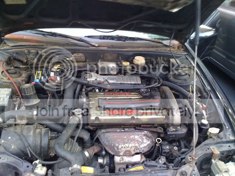 photo3.jpg