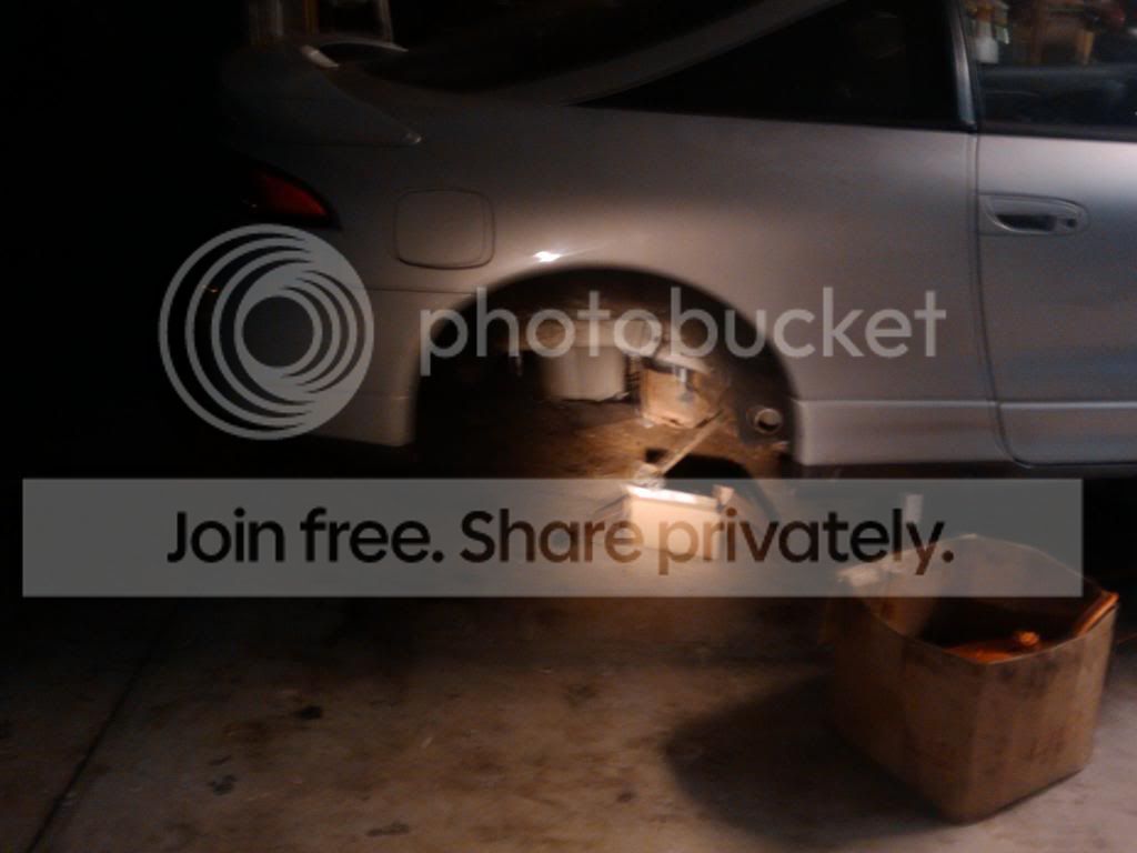 2011-02-18231649.jpg