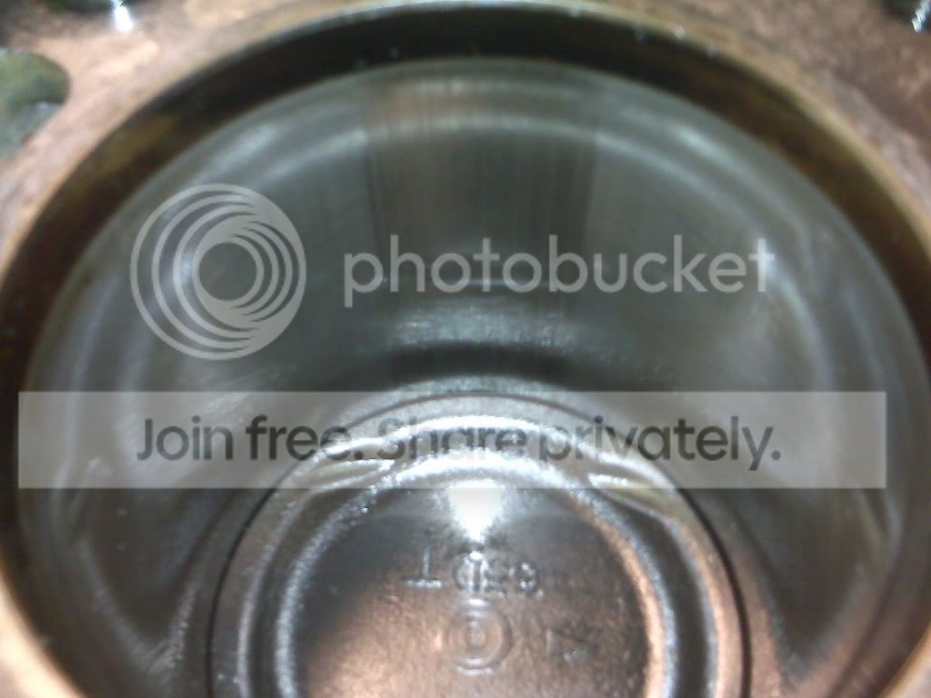 IMG00213-20100524-1736.jpg