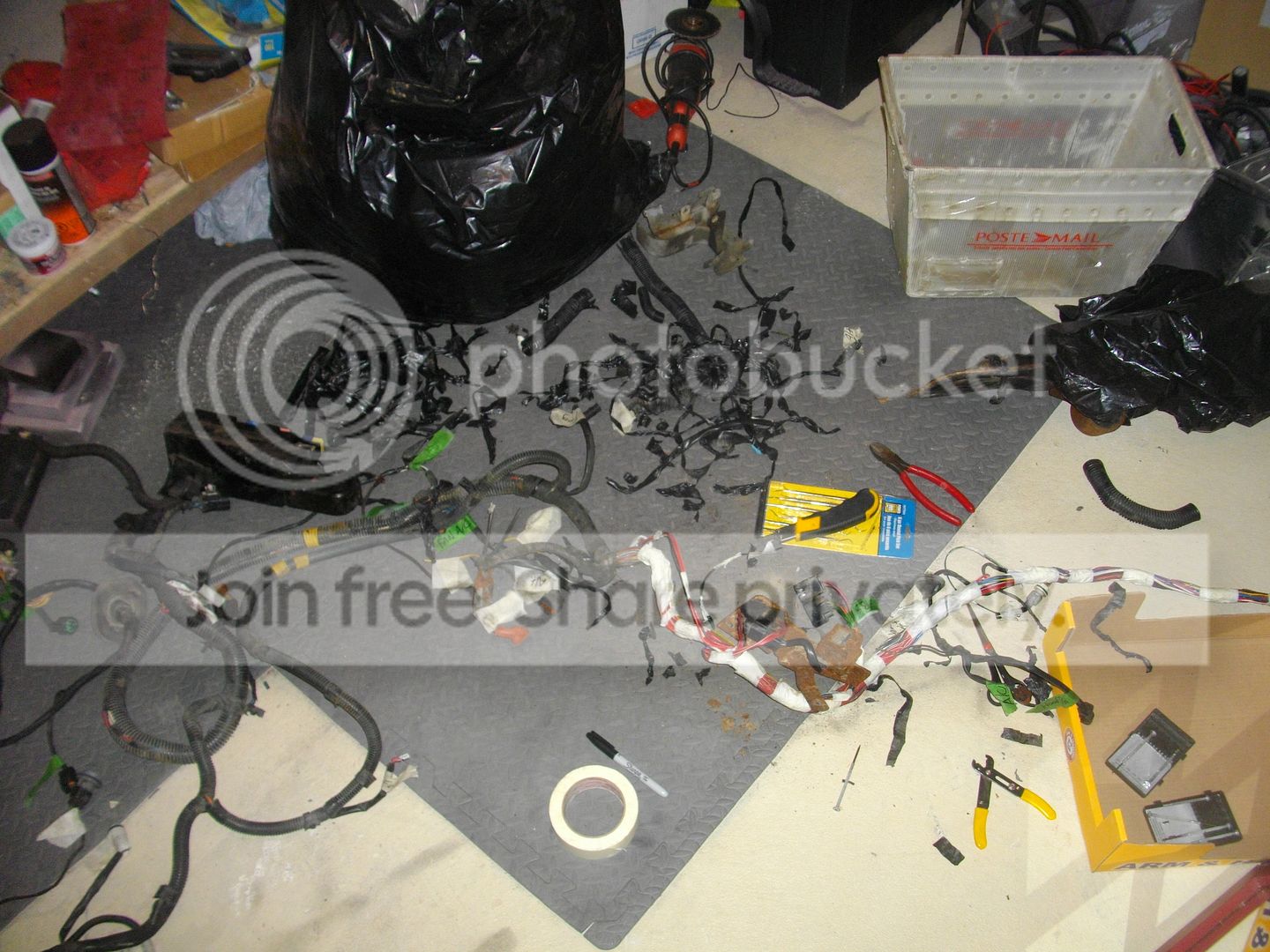 IMGP2550.jpg