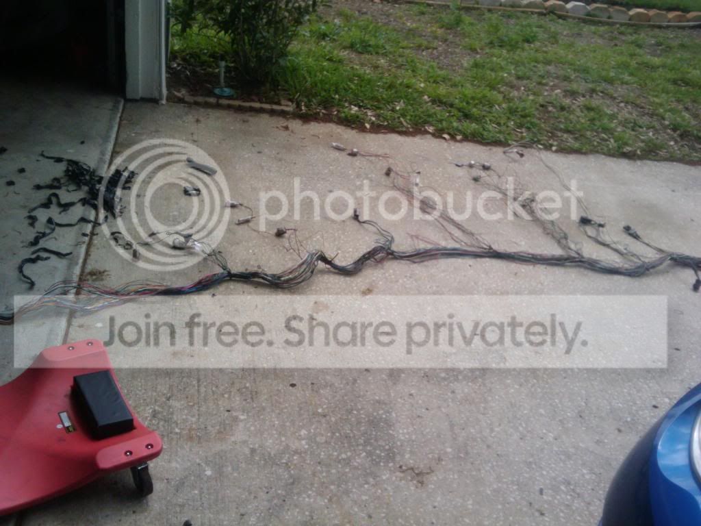 2011-03-05131949.jpg