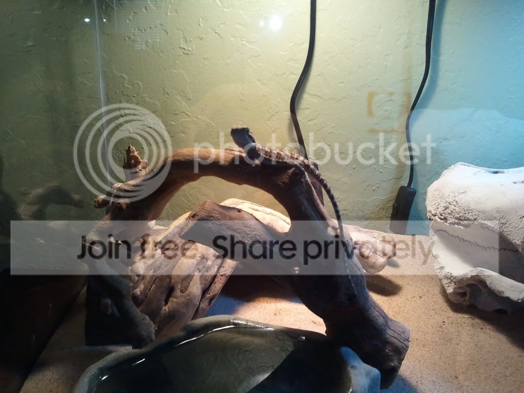 2011-05-20151200.jpg