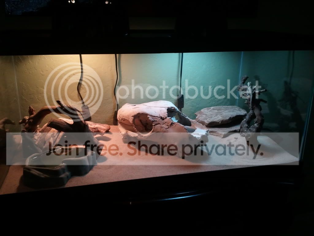 2011-05-20151131.jpg