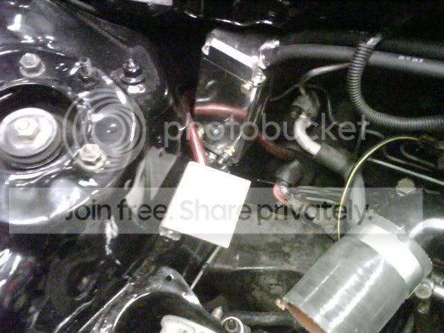 IMG00354.jpg