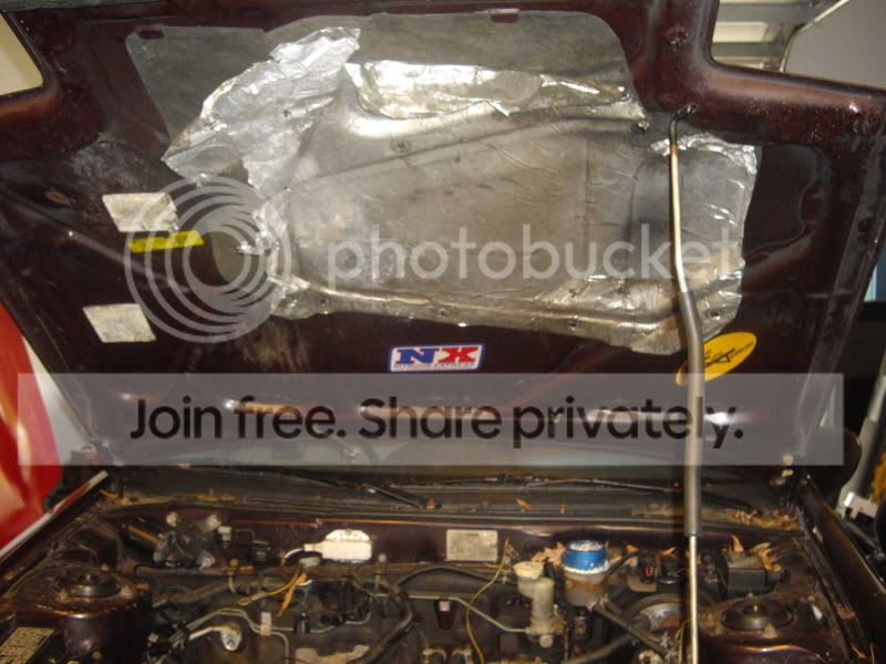 IMGP2542.jpg