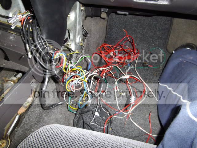 IMGP0407.jpg
