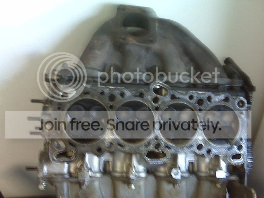 IMG00211-20100524-1448.jpg