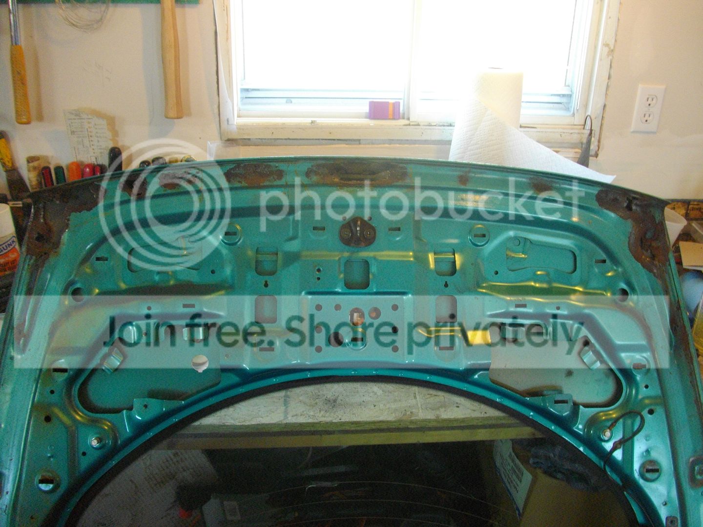 IMGP2104.jpg