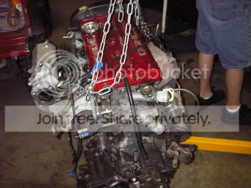 IMGP2414.jpg