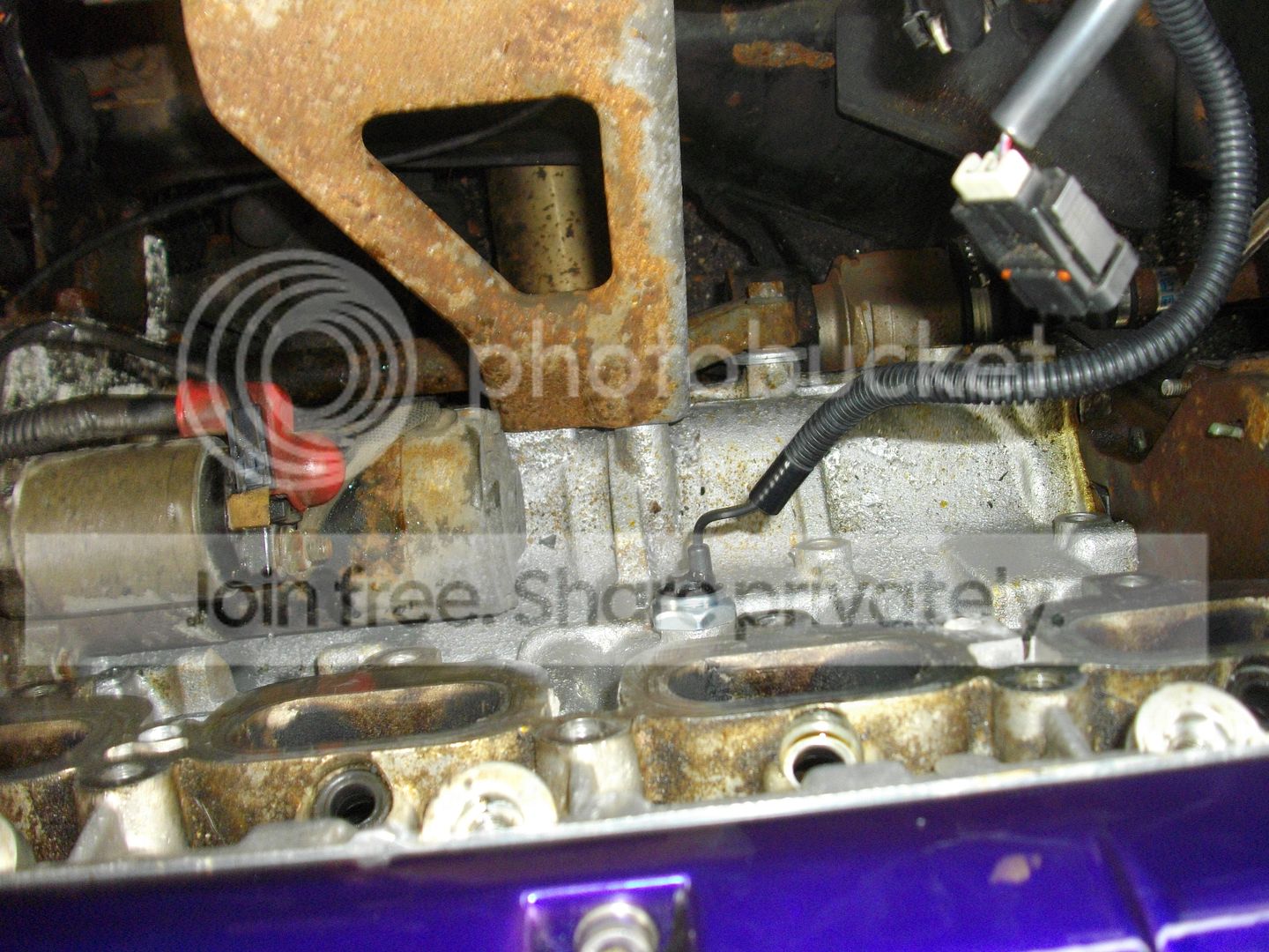 IMGP2285.jpg