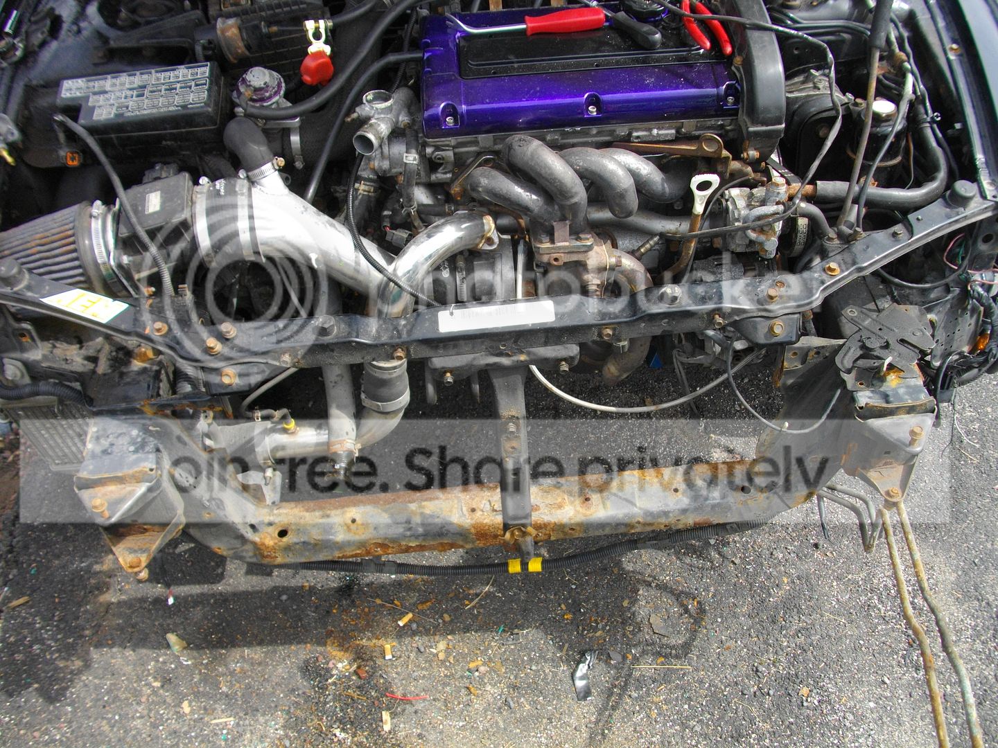 IMGP2229.jpg