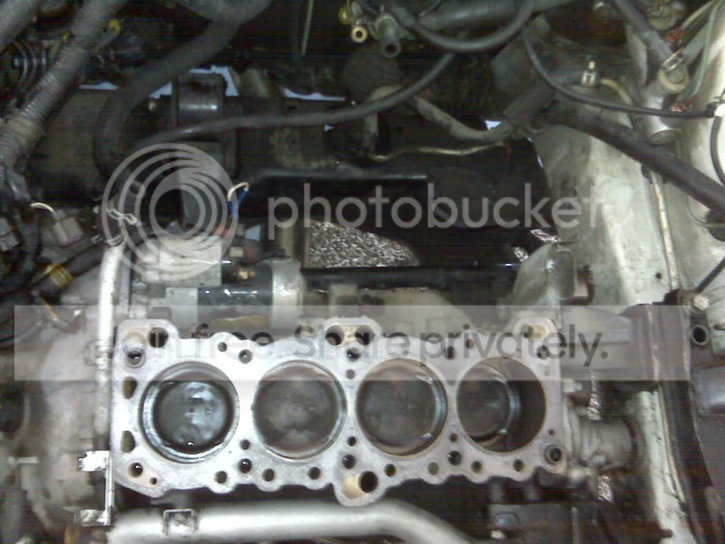 IMG00232-20100526-1307.jpg