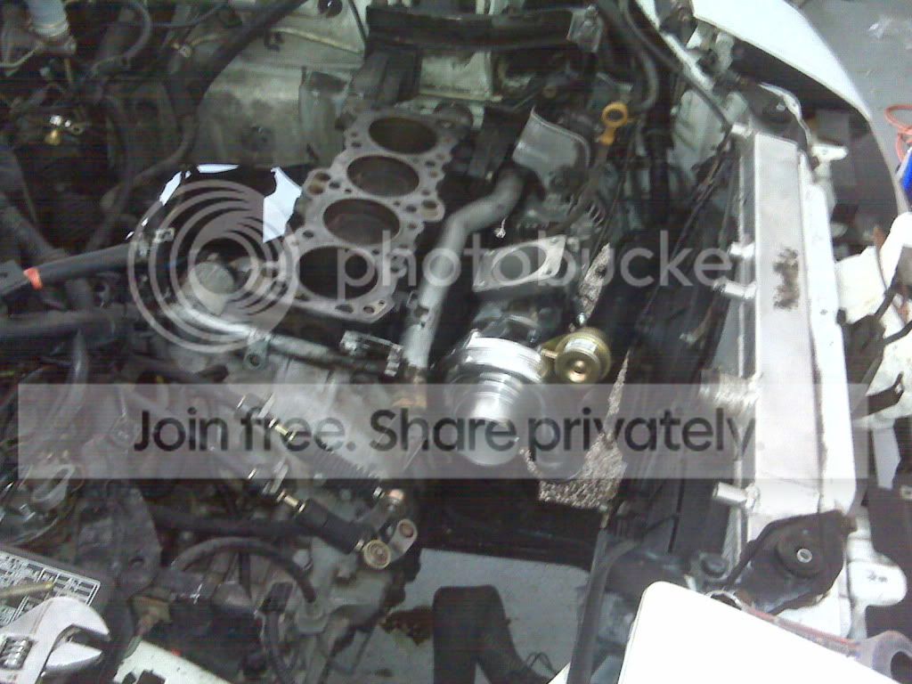 IMG00236-20100526-1347.jpg