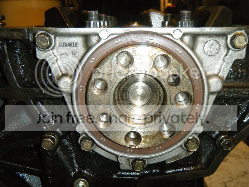 Rearmainseal.jpg