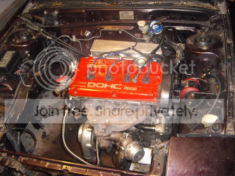 IMGP2551.jpg