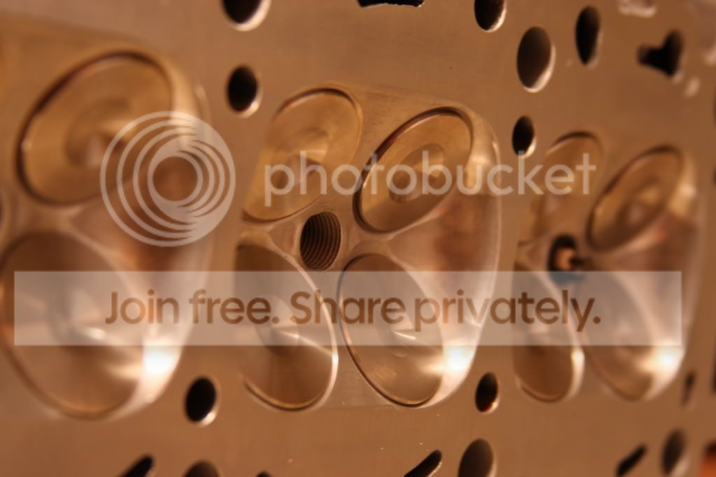 DPP_0019.jpg