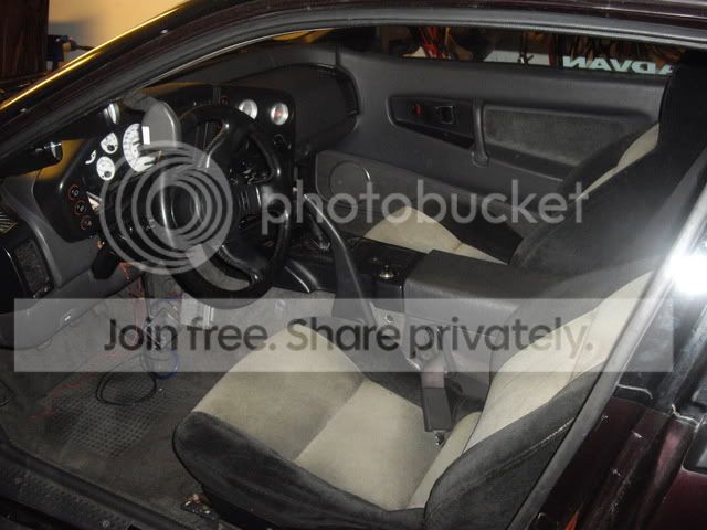 IMGP2562.jpg