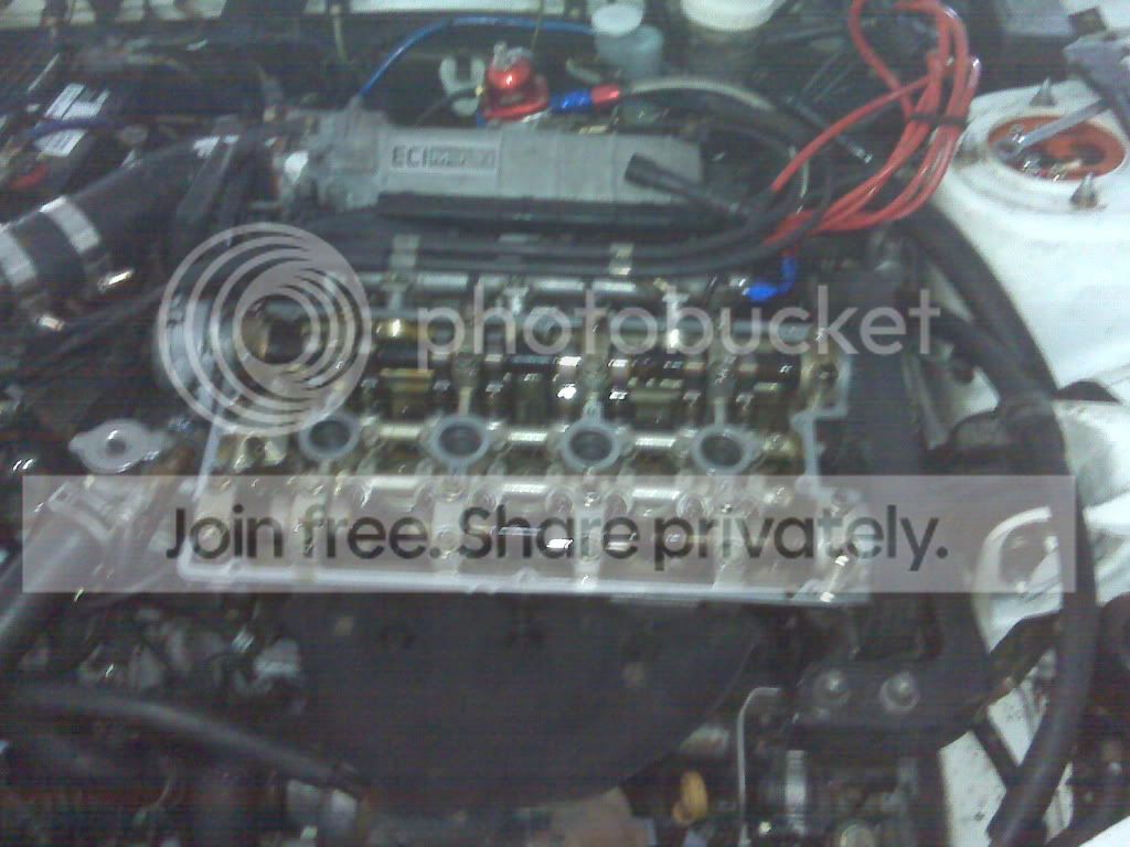 IMG00189-20100523-1824.jpg