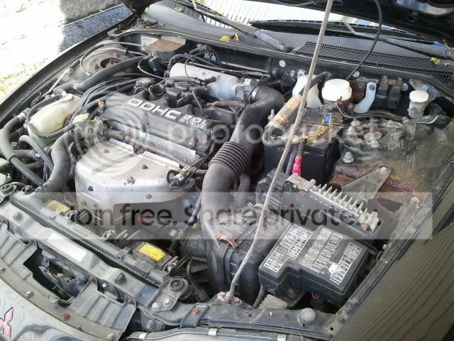 2011-07-09091127.jpg