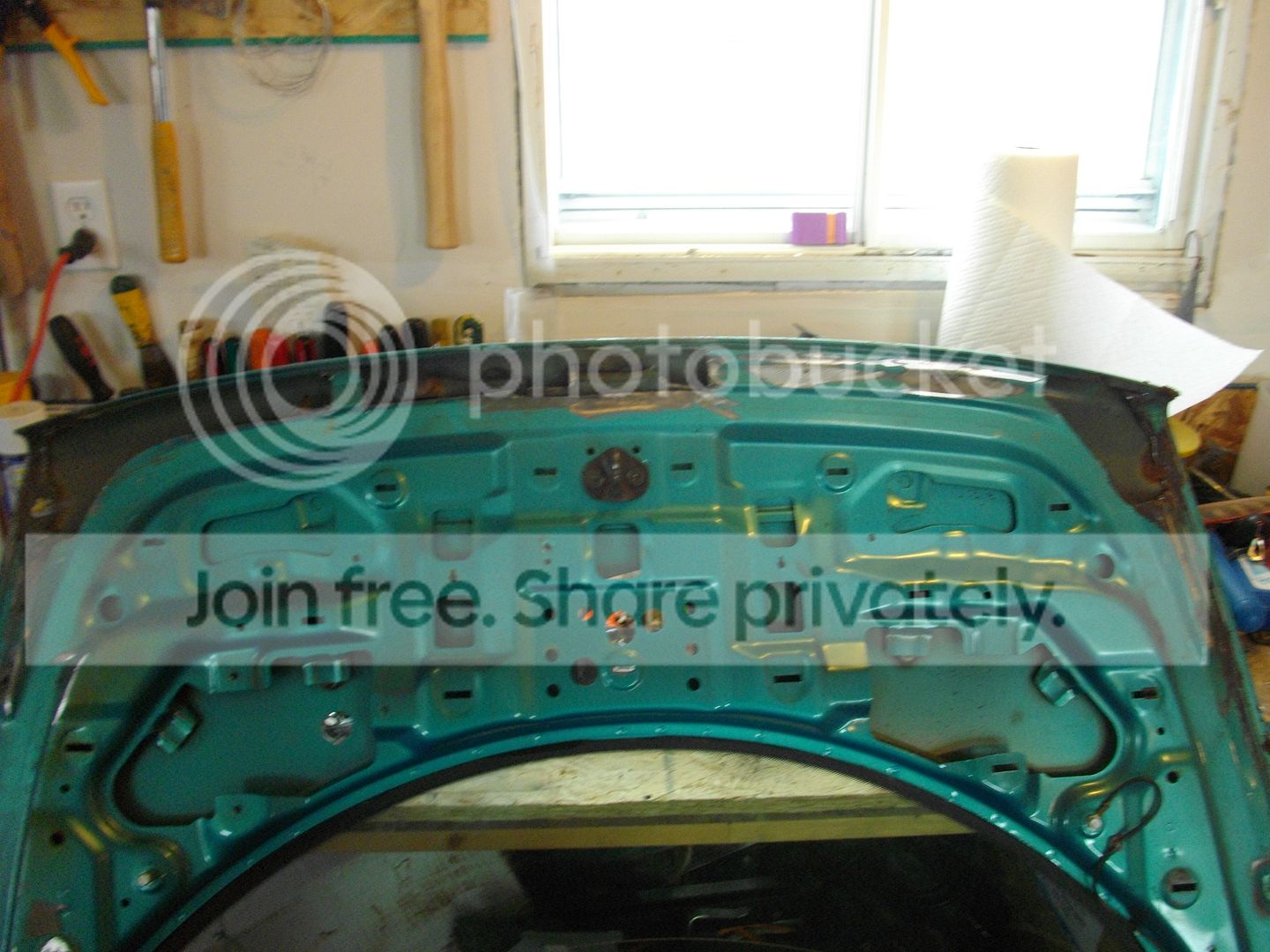 IMGP2106.jpg