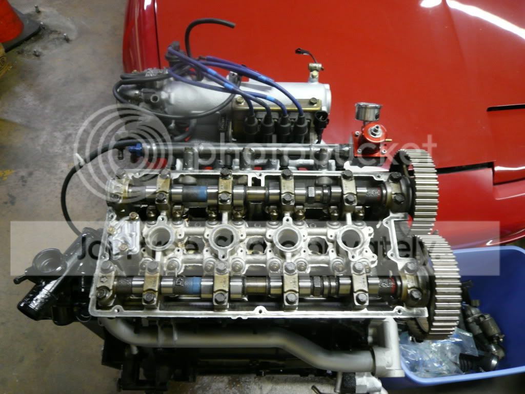 P1010835.jpg