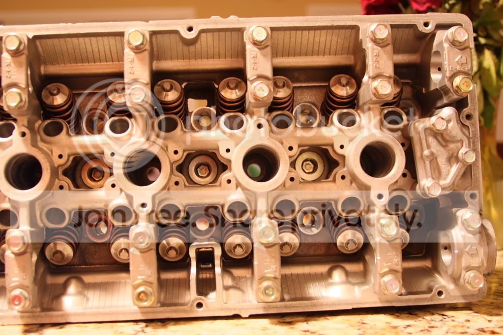 DPP_0015.jpg