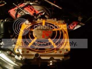 Picture001-1.jpg